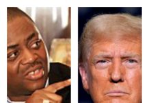 AN OPEN LETTER TO DONALD TRUMP by Chief Femi Fani-Kayode