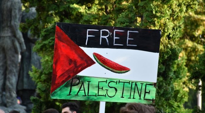 Israel slammed as UN Security Council debates Gaza City seizure plan